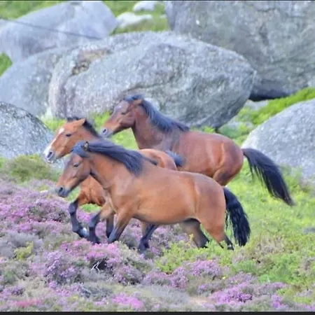 Holiday home Pomares Melgaco