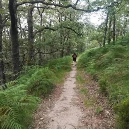 Pomares Holiday home *