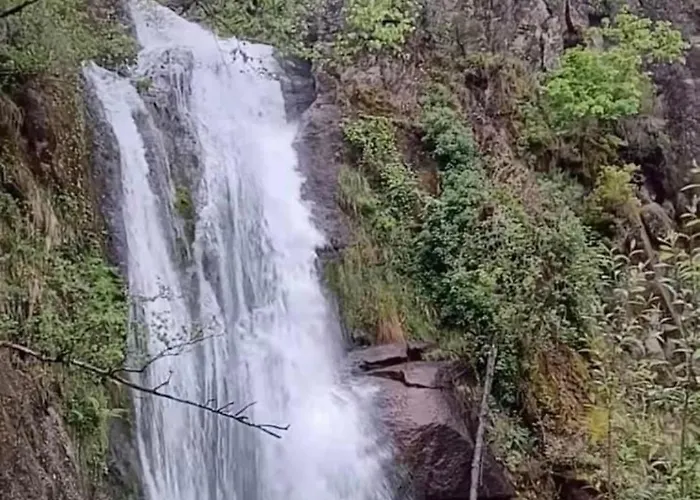 Hébergement de vacances Pomares *