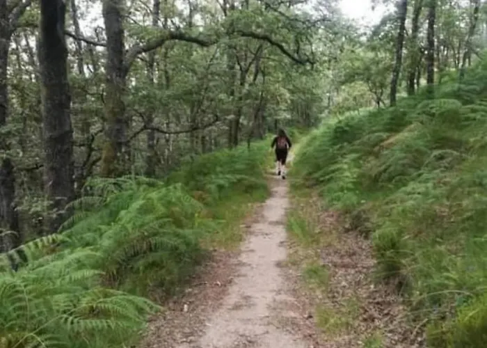 Pomares Hébergement de vacances *