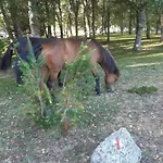 Сasa de vacaciones Pomares Melgaço